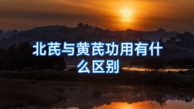 北芪与黄芪功用有什么区别