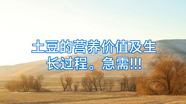土豆的营养价值及生长过程。急需!!!