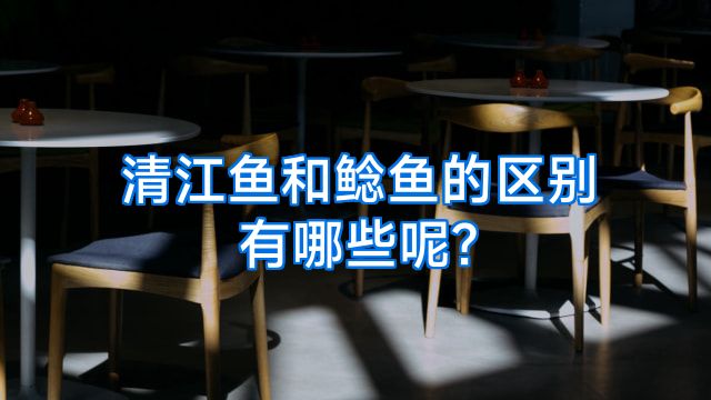 清江鱼和鲶鱼的区别有哪些呢?