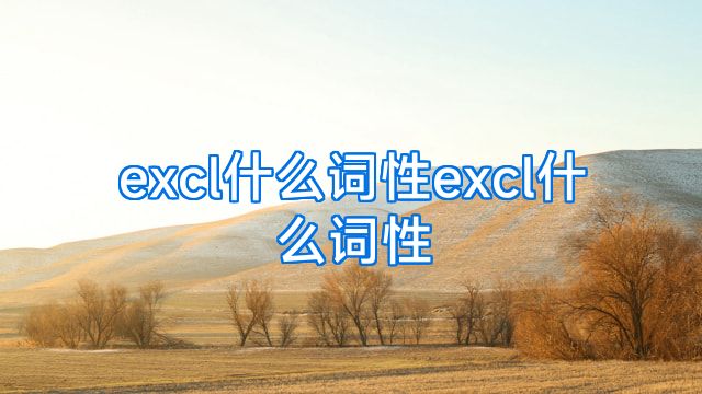 excl什么词性excl什么词性