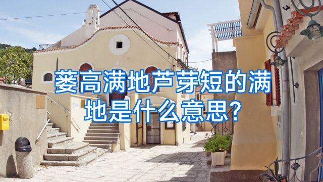 蒌高满地芦芽短的满地是什么意思?