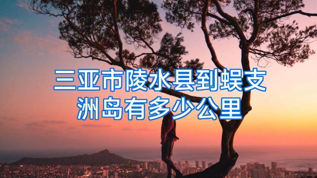 三亚市陵水县到蜈支洲岛有多少公里