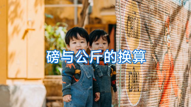 磅与公斤的换算
