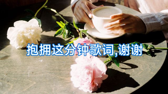 抱拥这分钟歌词,谢谢