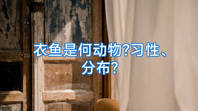 衣鱼是何动物?习性、分布?