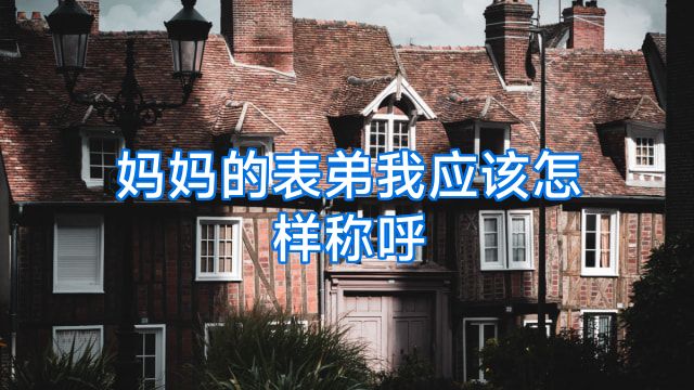 妈妈的表弟我应该怎样称呼