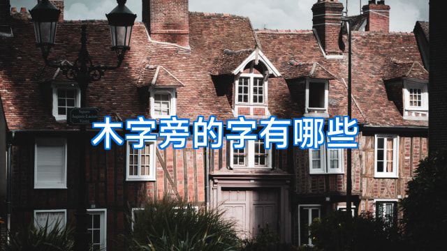 木字旁的字有哪些