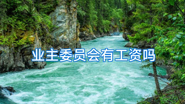 业主委员会有工资吗