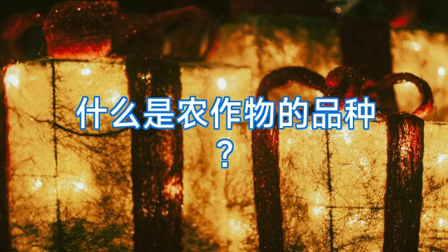 什么是农作物的品种?