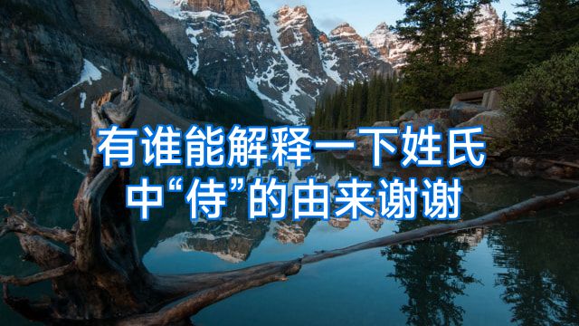 有谁能解释一下姓氏中“侍”的由来谢谢