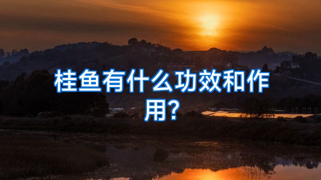 桂鱼有什么功效和作用?