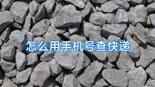 怎么用手机号查快递