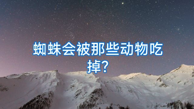 蜘蛛会被那些动物吃掉?