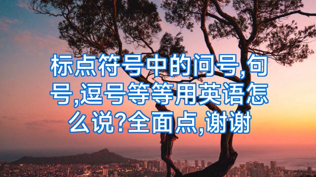 标点符号中的问号,句号,逗号等等用英语怎么说?全面点,谢谢