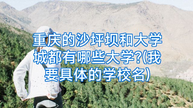 重庆的沙坪坝和大学城都有哪些大学?(我要具体的学校名)