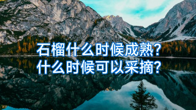石榴什么时候成熟?什么时候可以采摘?