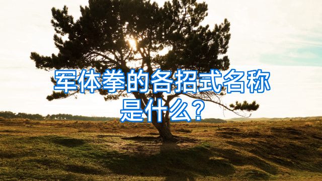 军体拳的各招式名称是什么?