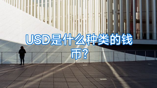 USD是什么种类的钱币?
