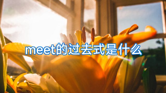 meet的过去式是什么