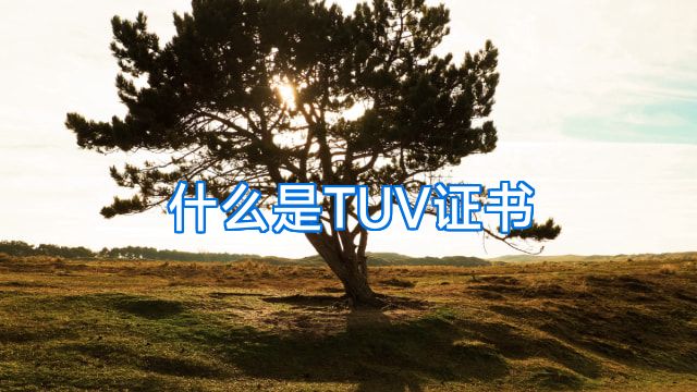 什么是TUV证书