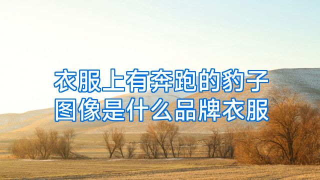 衣服上有奔跑的豹子图像是什么品牌衣服