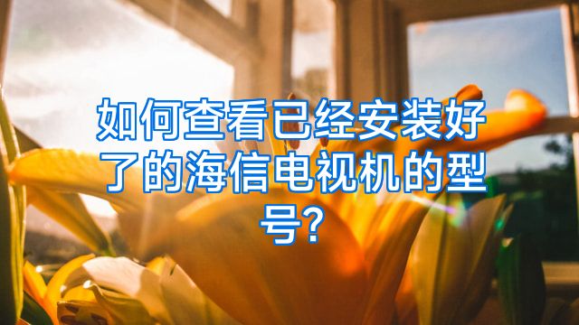 如何查看已经安装好了的海信电视机的型号?