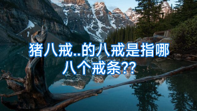 猪八戒..的八戒是指哪八个戒条??