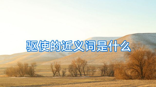 驱使的近义词是什么