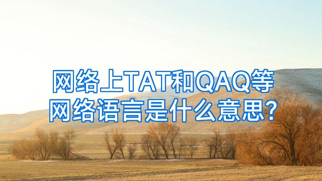网络上TAT和QAQ等网络语言是什么意思?