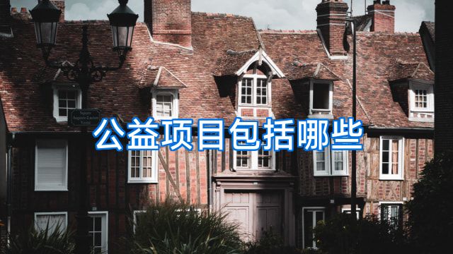 公益项目包括哪些