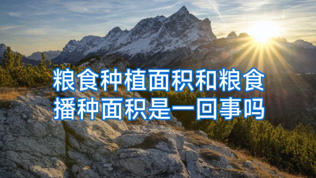 粮食种植面积和粮食播种面积是一回事吗