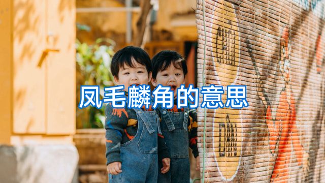 凤毛麟角的意思