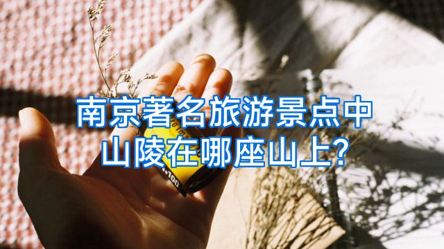 南京著名旅游景点中山陵在哪座山上?