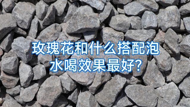 玫瑰花和什么搭配泡水喝效果最好?