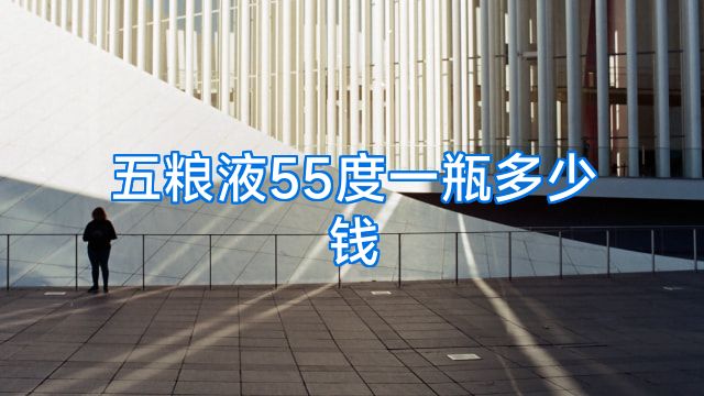 五粮液55度一瓶多少钱
