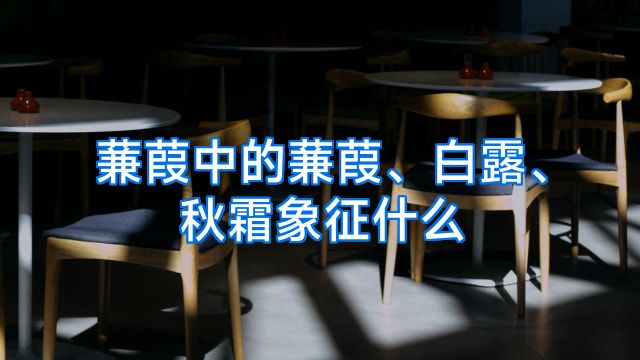 蒹葭中的蒹葭、白露、秋霜象征什么