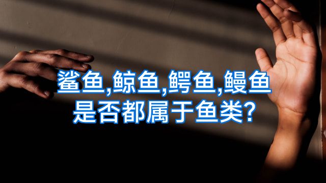鲨鱼,鲸鱼,鳄鱼,鳗鱼是否都属于鱼类?