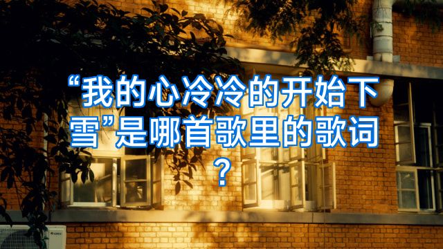 “我的心冷冷的开始下雪”是哪首歌里的歌词?