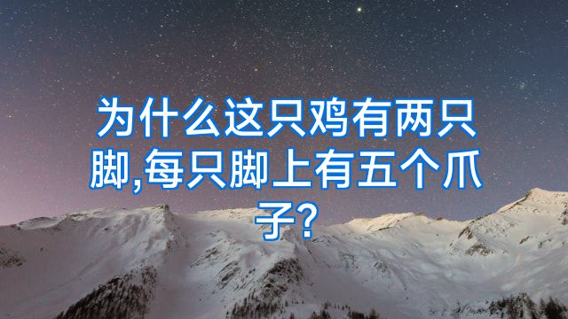 为什么这只鸡有两只脚,每只脚上有五个爪子?