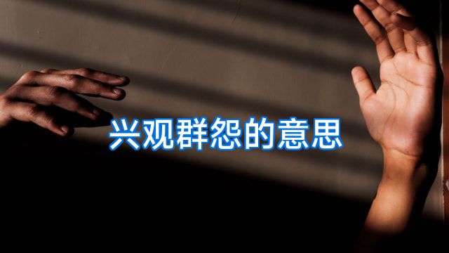 兴观群怨的意思