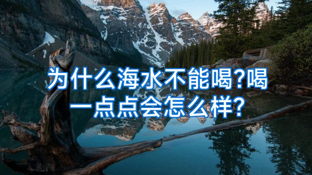 为什么海水不能喝?喝一点点会怎么样?