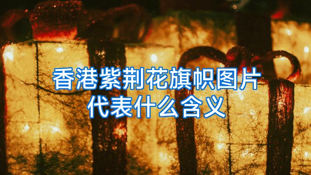 香港紫荆花旗帜图片代表什么含义