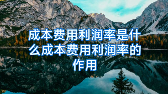 成本费用利润率是什么成本费用利润率的作用