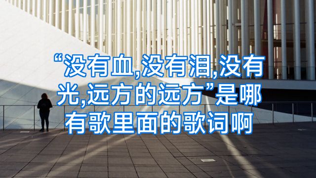 “没有血,没有泪,没有光,远方的远方”是哪有歌里面的歌词啊