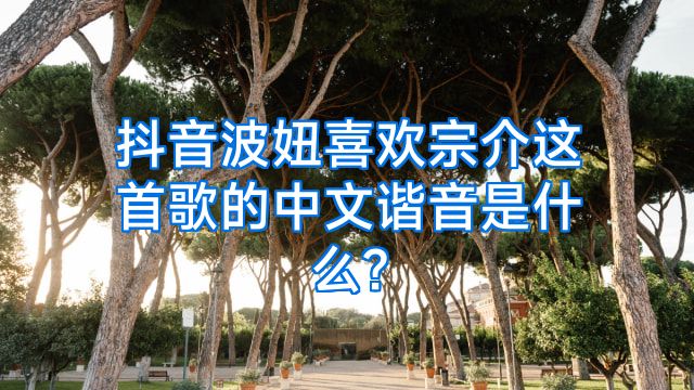 抖音波妞喜欢宗介这首歌的中文谐音是什么?