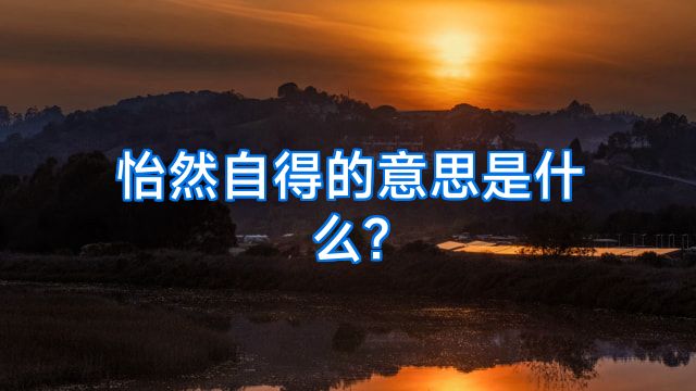 怡然自得的意思是什么?