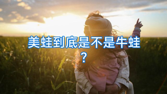 美蛙到底是不是牛蛙?