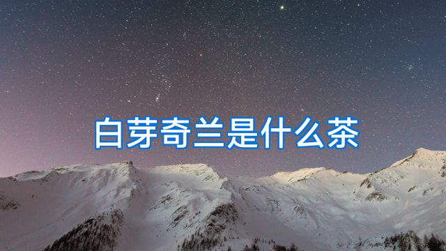 白芽奇兰是什么茶