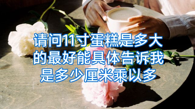 请问11寸蛋糕是多大的最好能具体告诉我是多少厘米乘以多