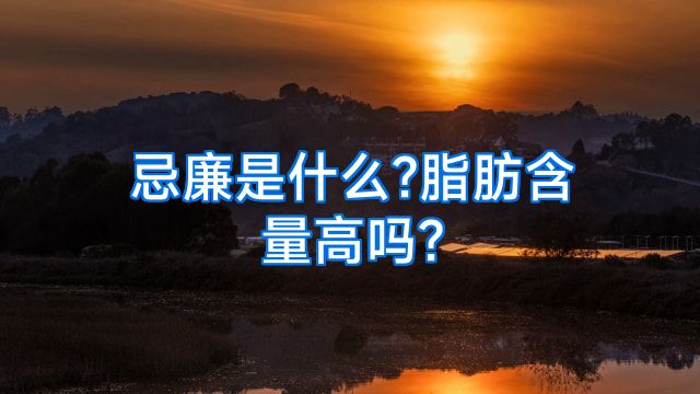 忌廉是什么?脂肪含量高吗?